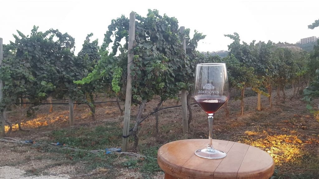 Wine Tasting Malta - Cheval Franc Wine Glass