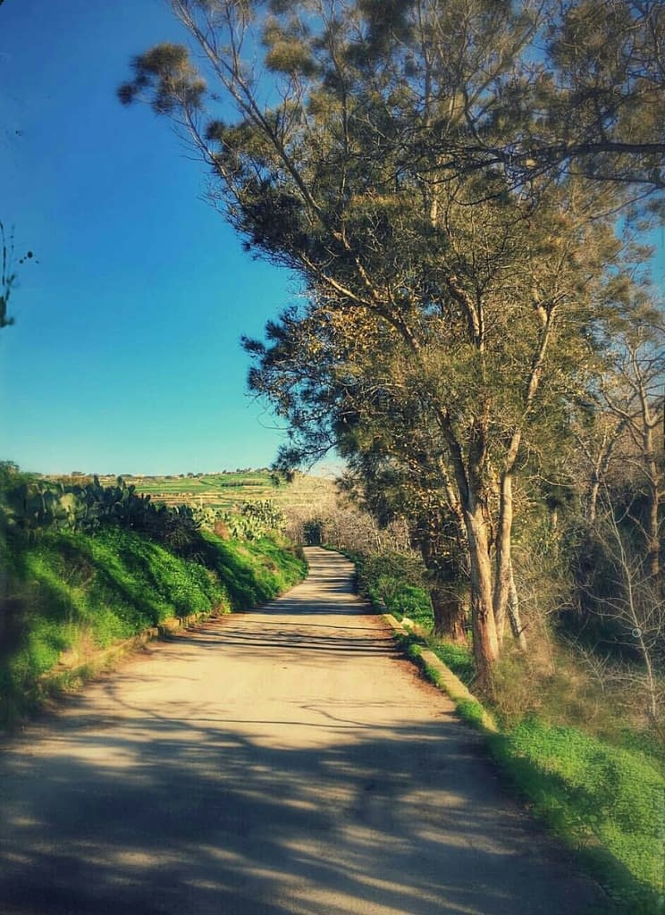 Dwejra Maltese country side road